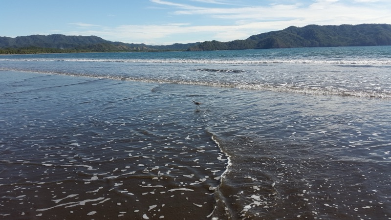 Calm water and hills at Playa Tambor