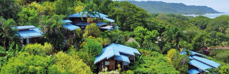Blue-roofed cabins in hillside jungle above the ocean at Horizon Hotel & Yoga Center