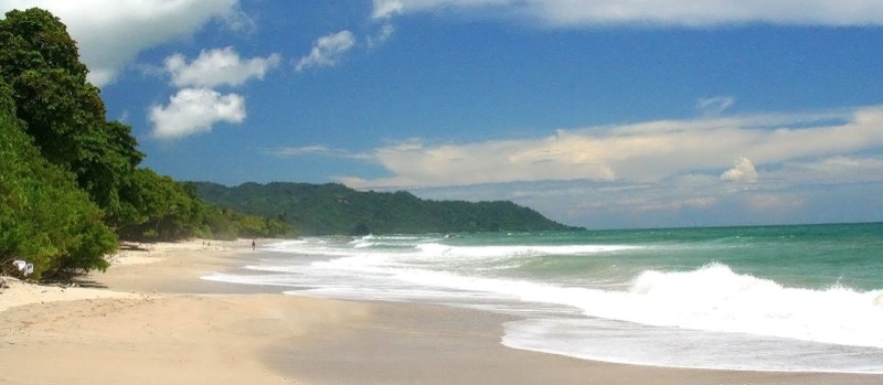 The coast at Santa Teresa with forest behind the beach